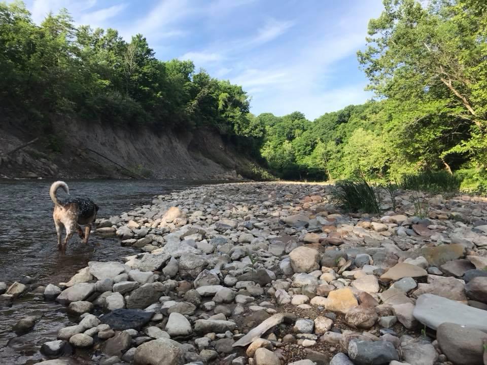 Kickapoo State Recreation Area (Anna Keck / Facebook) 