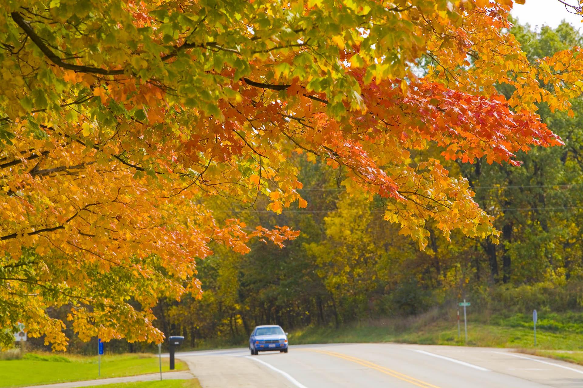 10 Fall Color Destinations in Illinois This Month Chicago News WTTW