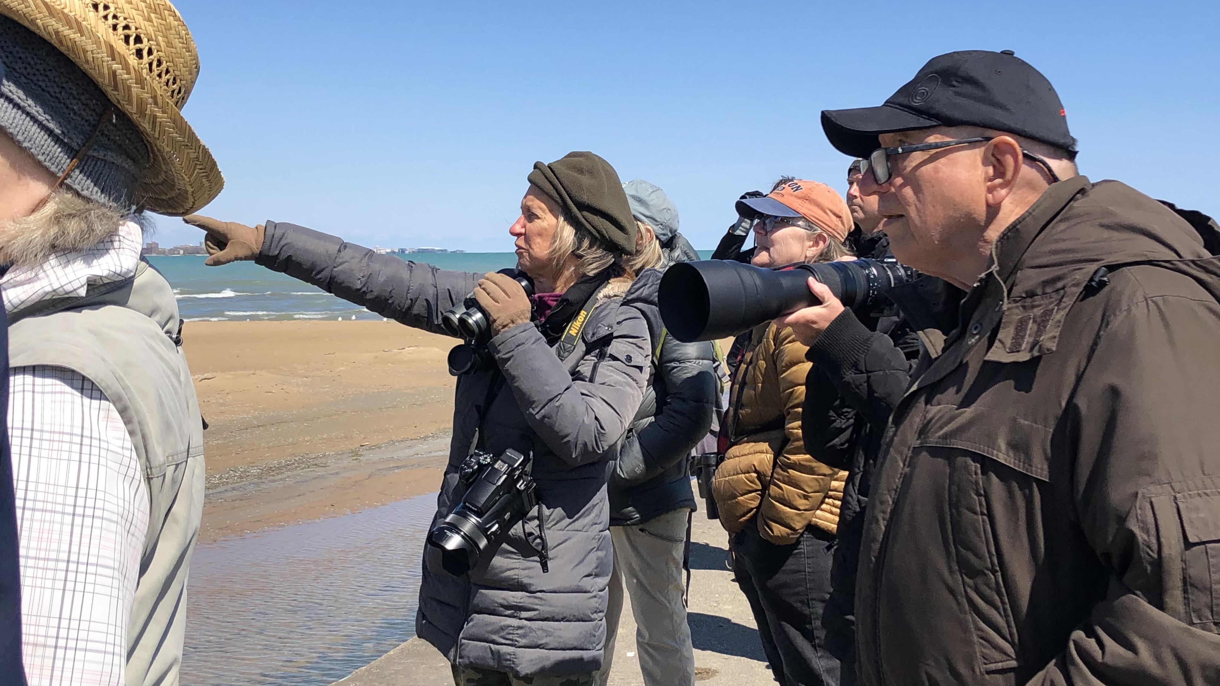 Plover monitors and birders turned out to catch a glimpse of Imani the piping plover, April 26, 2023. (Patty Wetli / WTTW News)