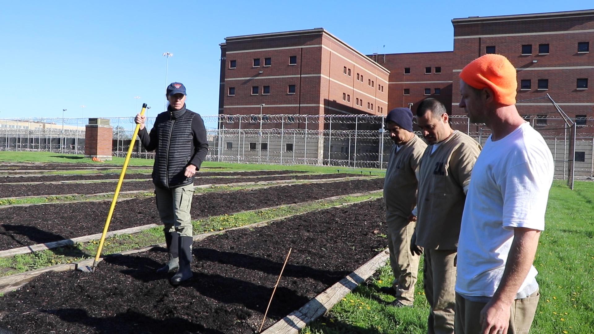 Cook County Jail employee Tina Bentley shows detainees techniques for tilling soil on the jail’s 2-acre farm. (Evan Garcia / WTTW)