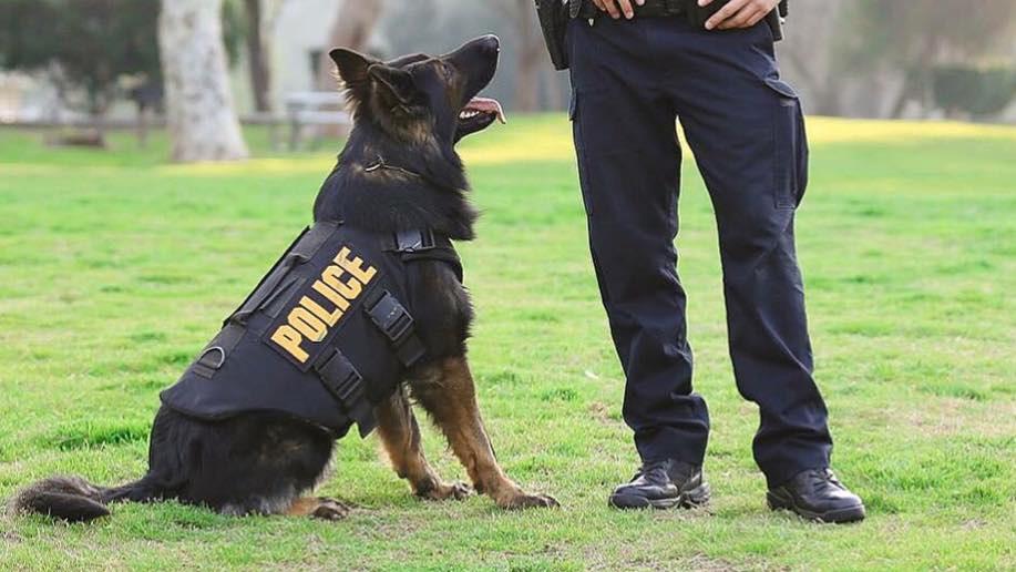 are k9 dogs considered police officers