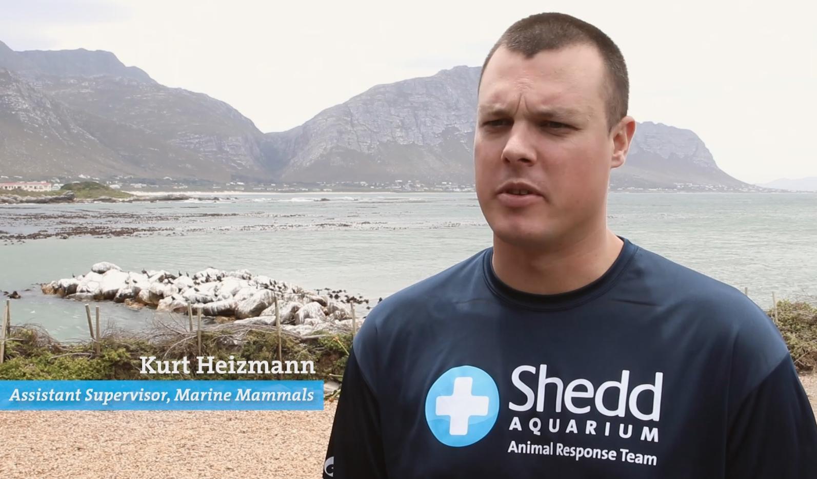 Kurt Heizmann of Shedd Aquarium's Animal Response Team (Shedd Aquarium)