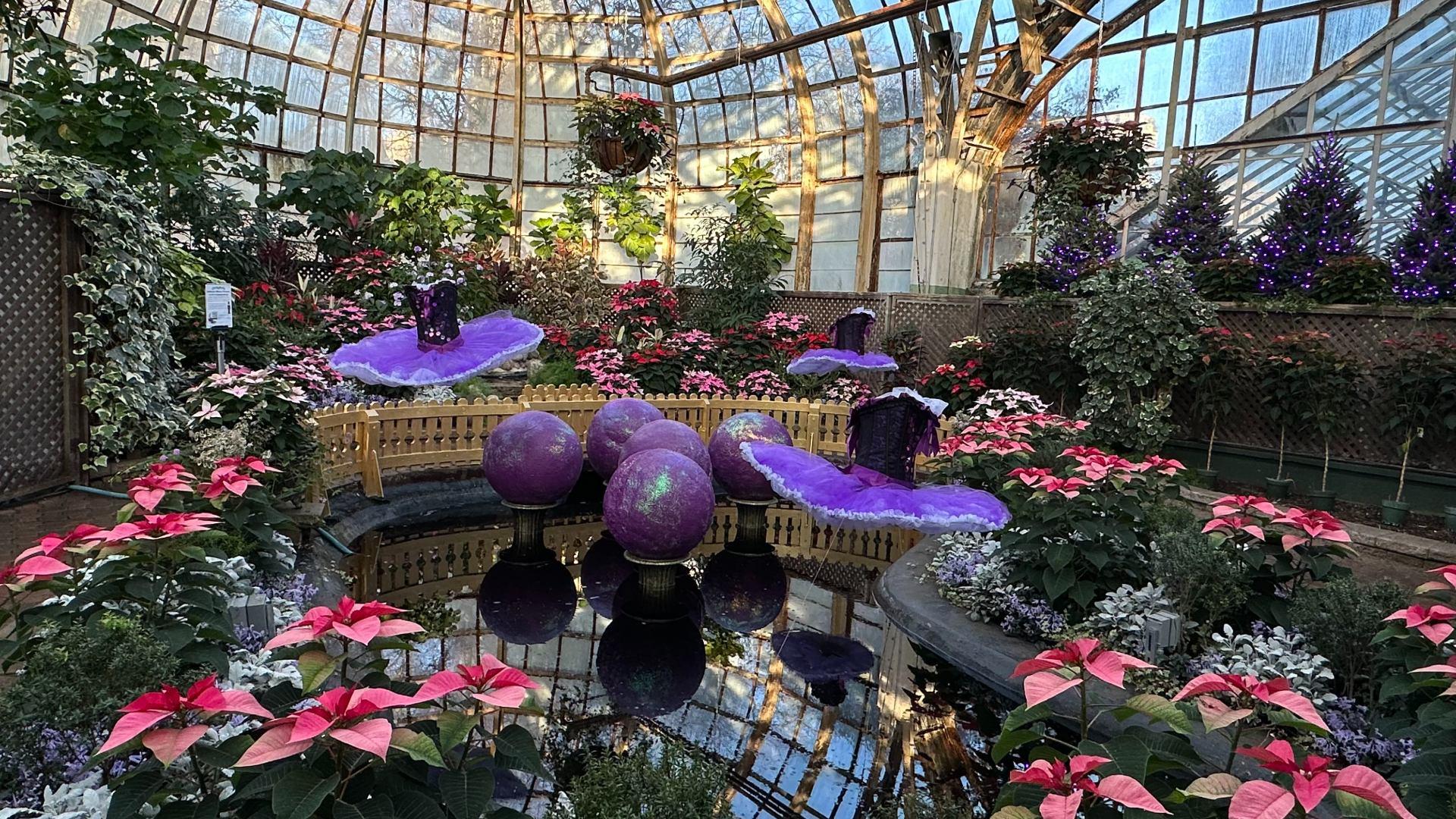 Lincoln Park Conservatory And Its Stunning Botanical Gardens Will Finally  Reopen Tomorrow - Secret Chicago