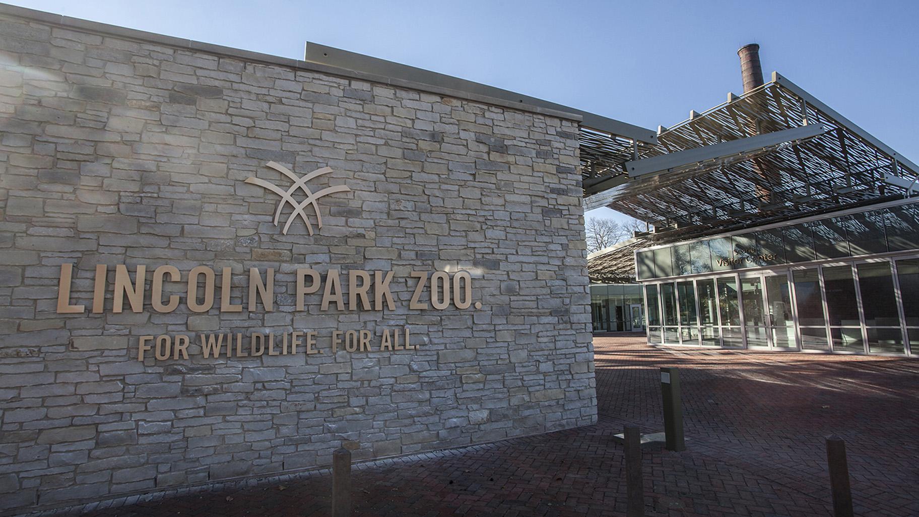 Lincoln Park Zoo Ending Its ‘Meet An Animal’ Program | Chicago News | WTTW