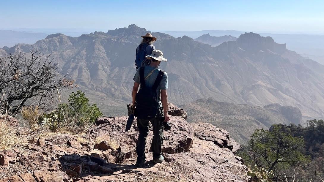 A needle-in-a-haystack search, as scientists combed 800,000-acre Big Bend National Park looking for a single oak. (Courtesy Polly Hill Arboretum)