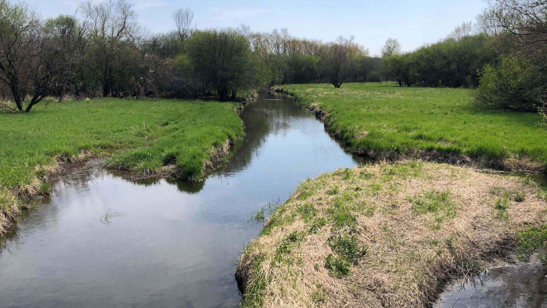 Spring Lake Nature Preserve, at the northern edge of the Cook County Forest Preserve District. (Patty Wetli / WTTW News)