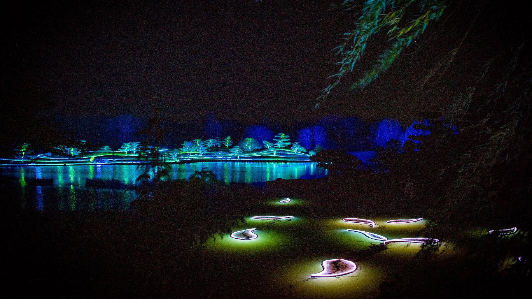 Lightscape at Chicago Botanic Garden. (Courtesy of Chicago Botanic Gardens)