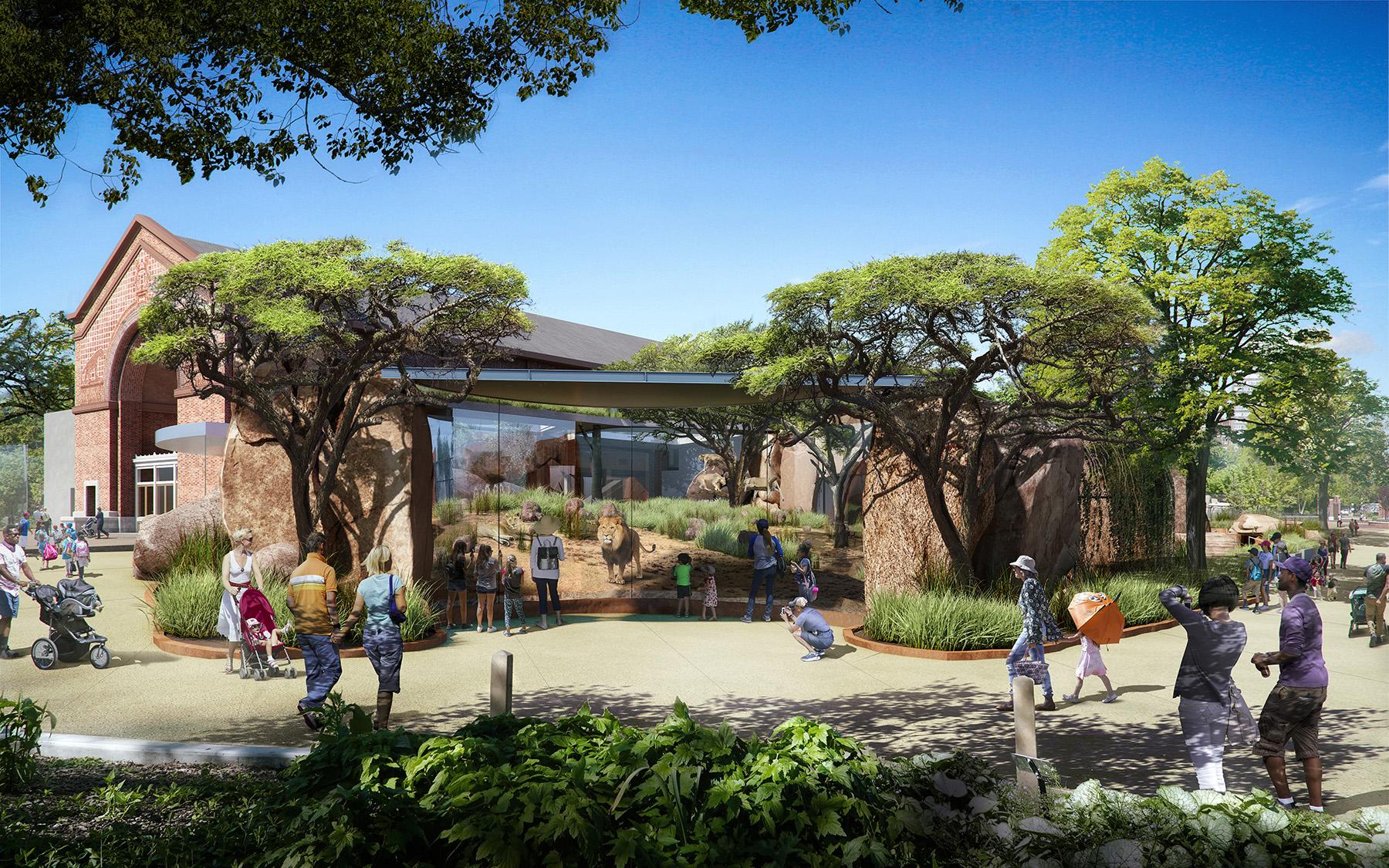 A graphic rendering of the new Kovler Lion House planned for Lincoln Park Zoo (Courtesy Lincoln Park Zoo) 