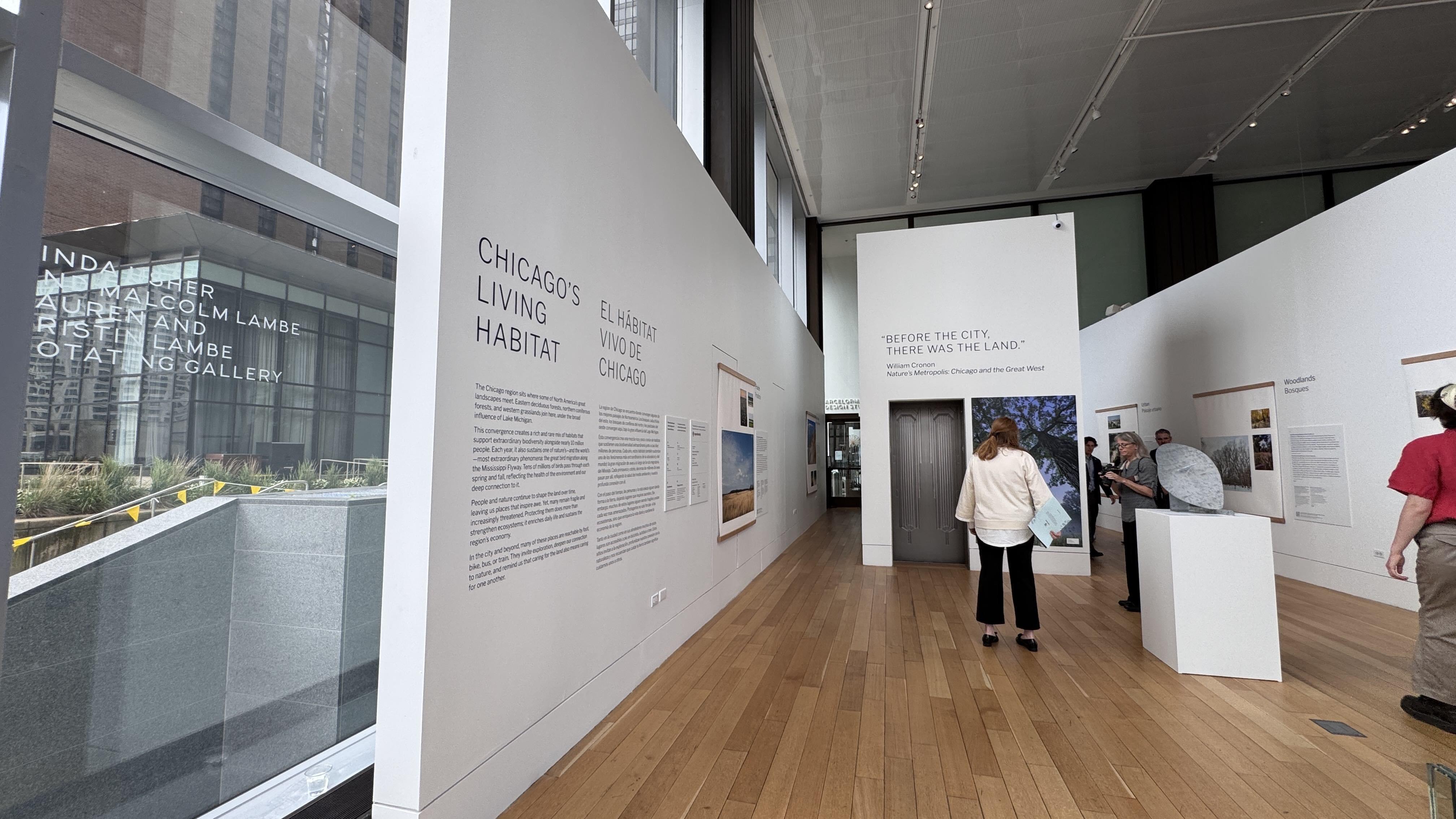 “Before the city, there was the land” is the dominant theme of “Chicago’s Living Habitat,” which leads into “Flyway City.” (Patty Wetli / WTTW News)