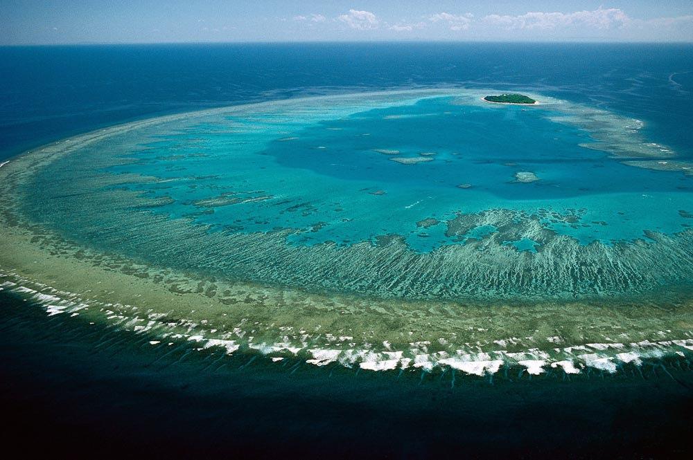 Great Barrier Reef (Lock the Gate Alliance / Flickr)