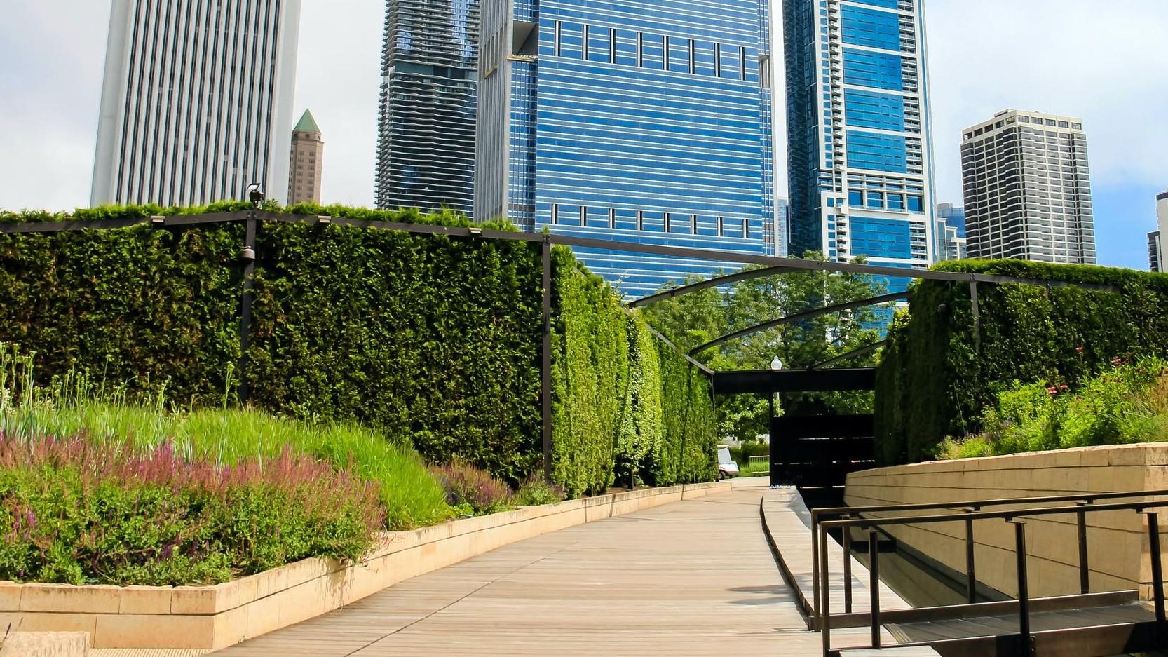 Repairs are being made to the “Seam,” the boardwalk that runs through the center of Lurie Garden. (Alesia D / iStock)