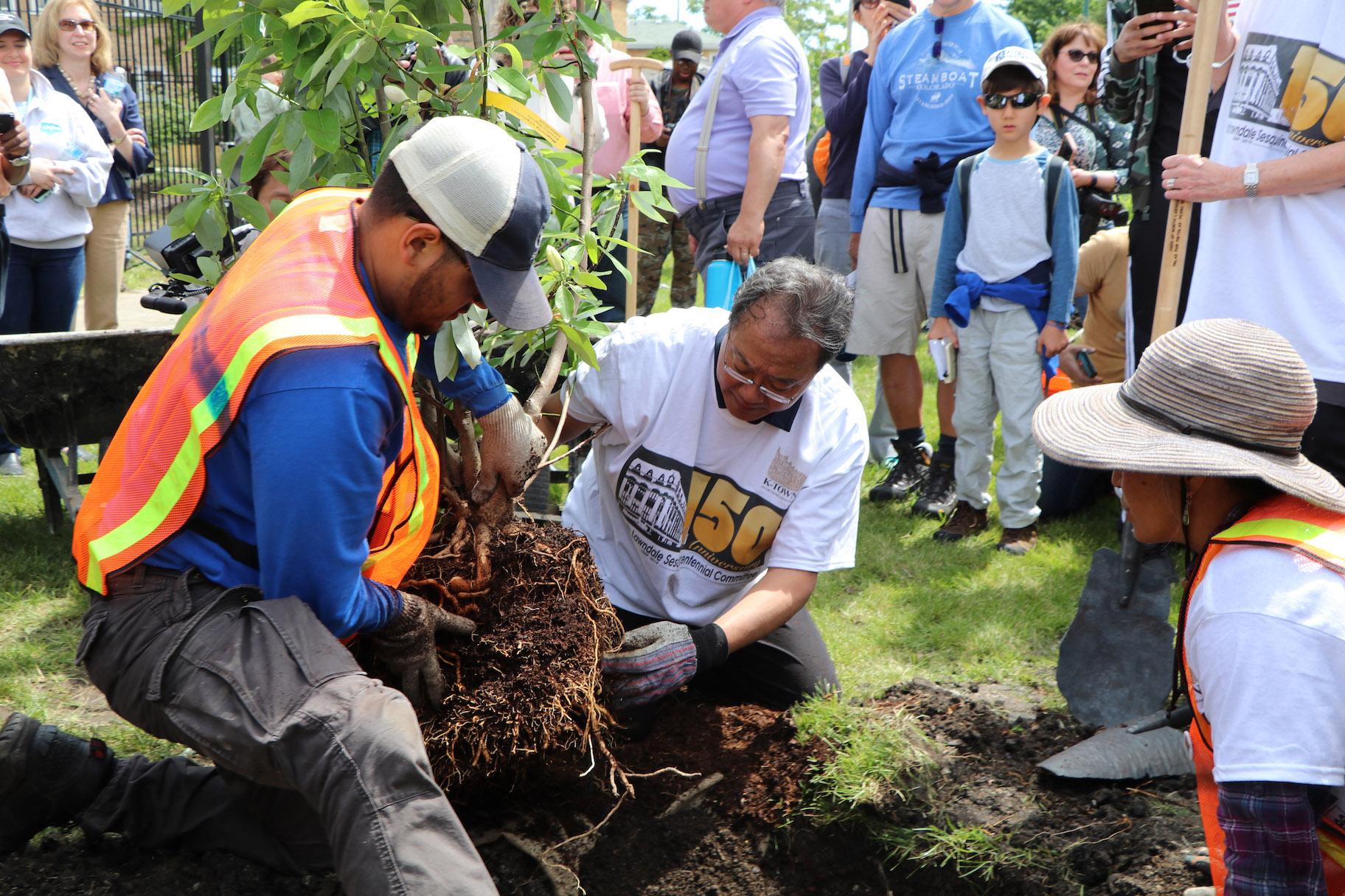 Yo-Yo Ma plants a magnolia tree with volunteers at Unity Park in North Lawndale. (Evan Garcia / WTTW)