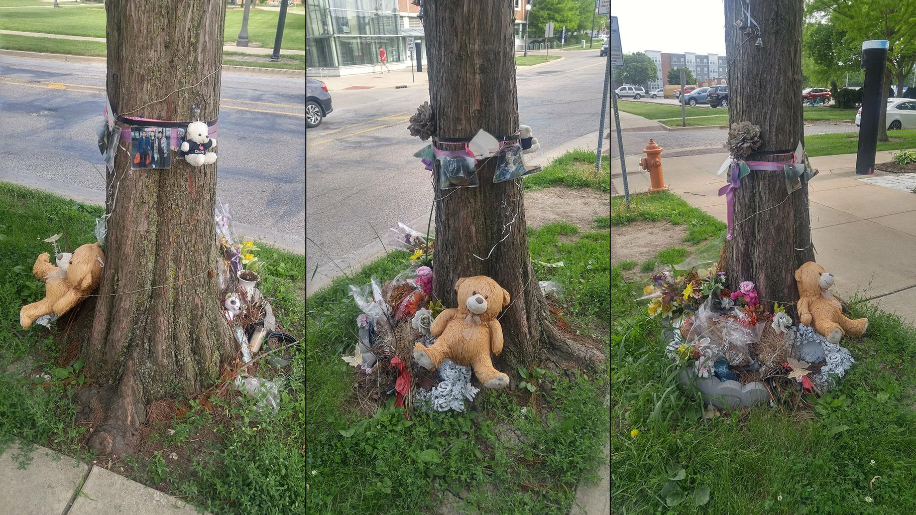 Flowers, photos and a teddy bear are among the items left at a makeshift memorial at the intersection of Goodwin Avenue and Clark Street in Urbana, seen here on June 7, 2019, nearly two years after Yingying Zhang’s disappearance from the U. of I. campus. (Photos by Mark Van Moer)