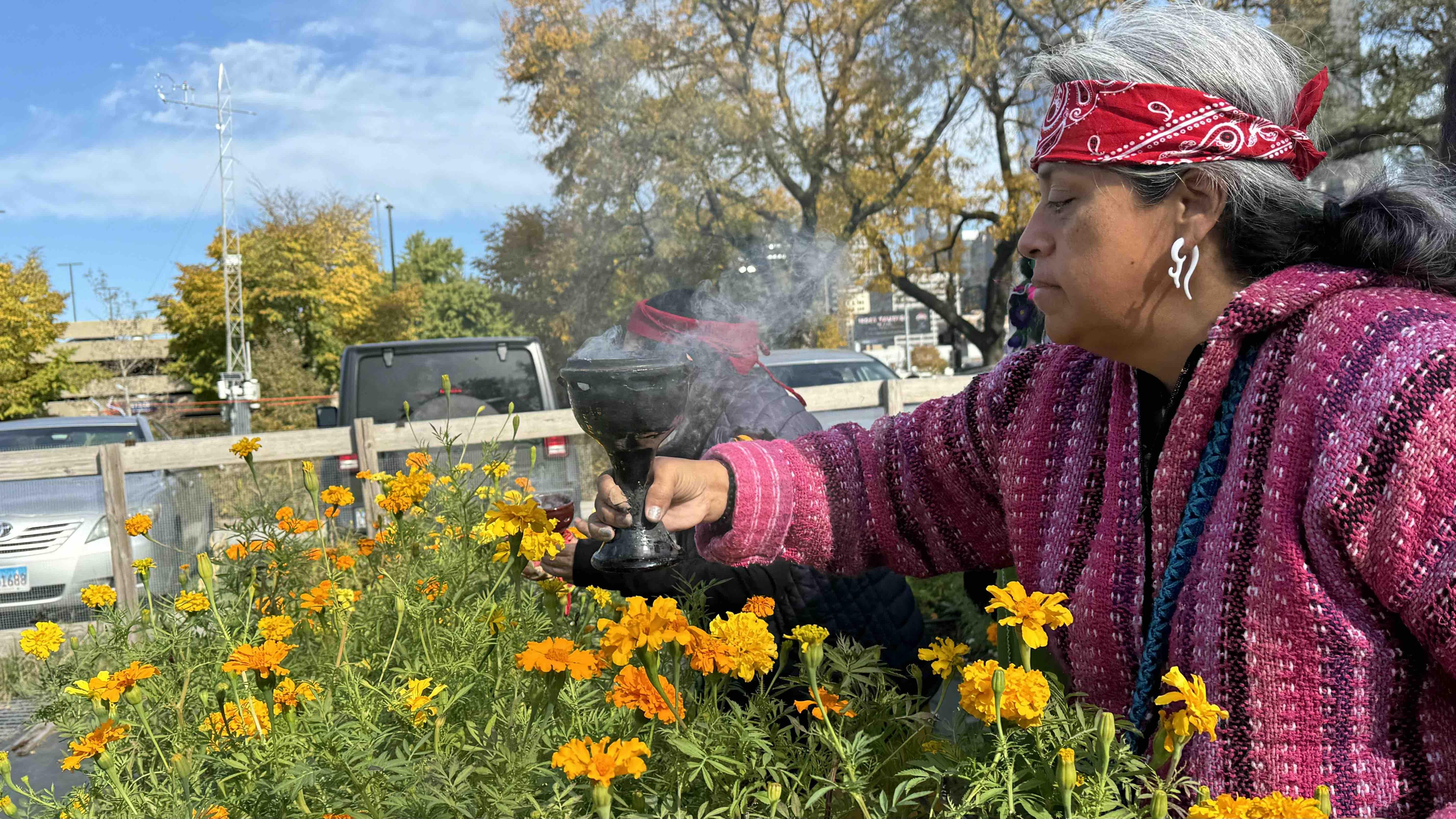 Day of the Dead’s Iconic Flower Plants Seeds of Cultural Connection in