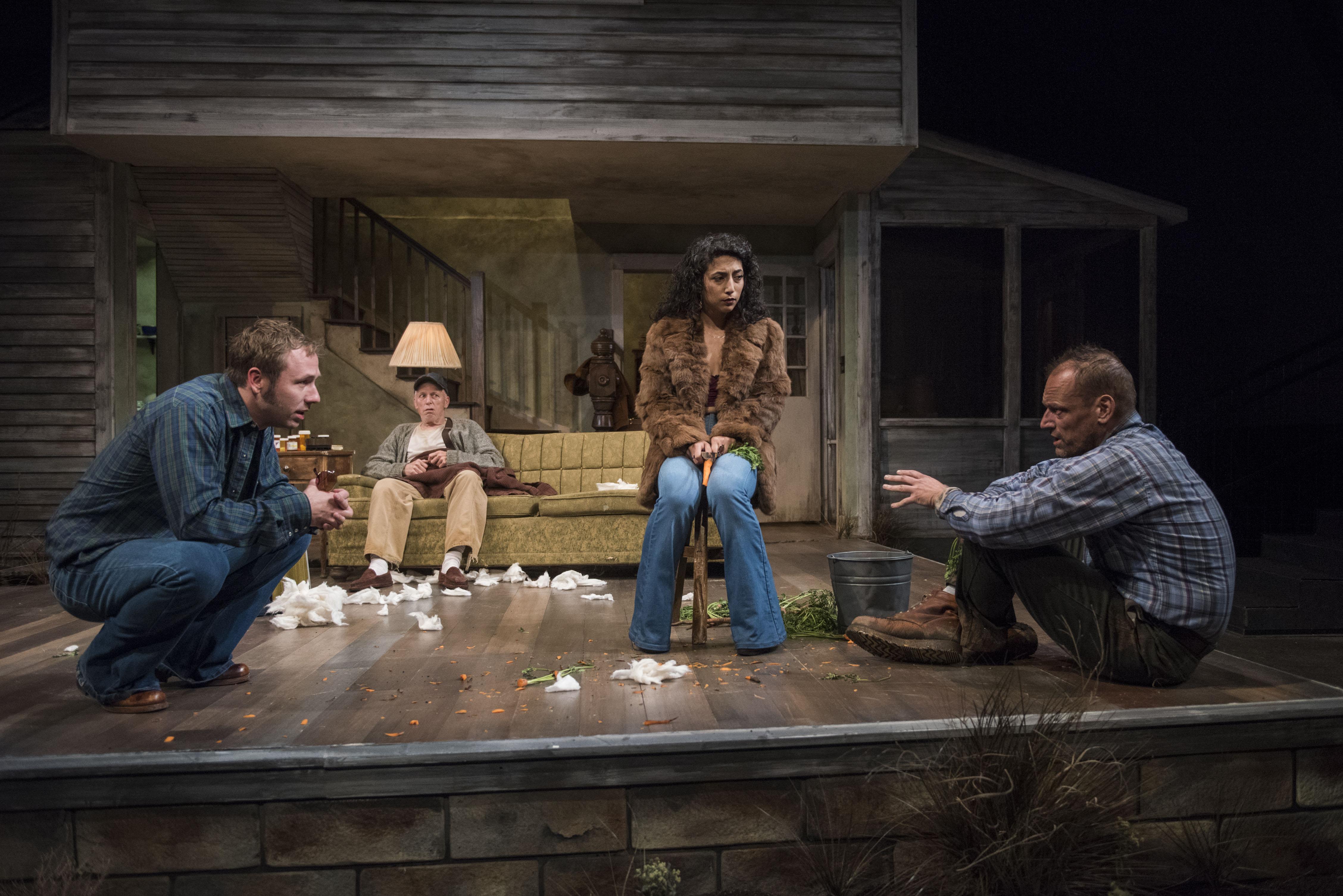 From left: Mark Montgomery, Arti Ishak, Larry Yando and Shannon Cochran in Sam Shepard’s “Buried Child” at Writers Theatre. (Photo credit: Michael Brosilow)