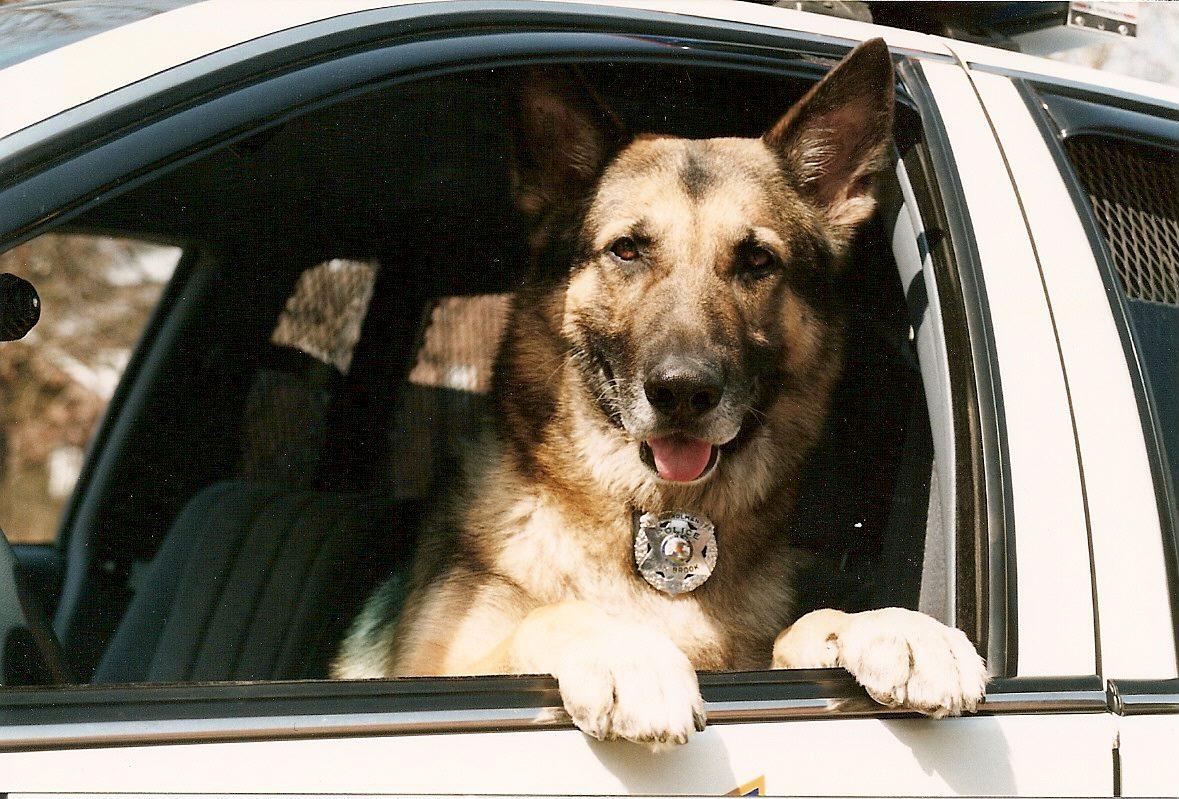 German Shepherd Pet Urn Tower in Oak