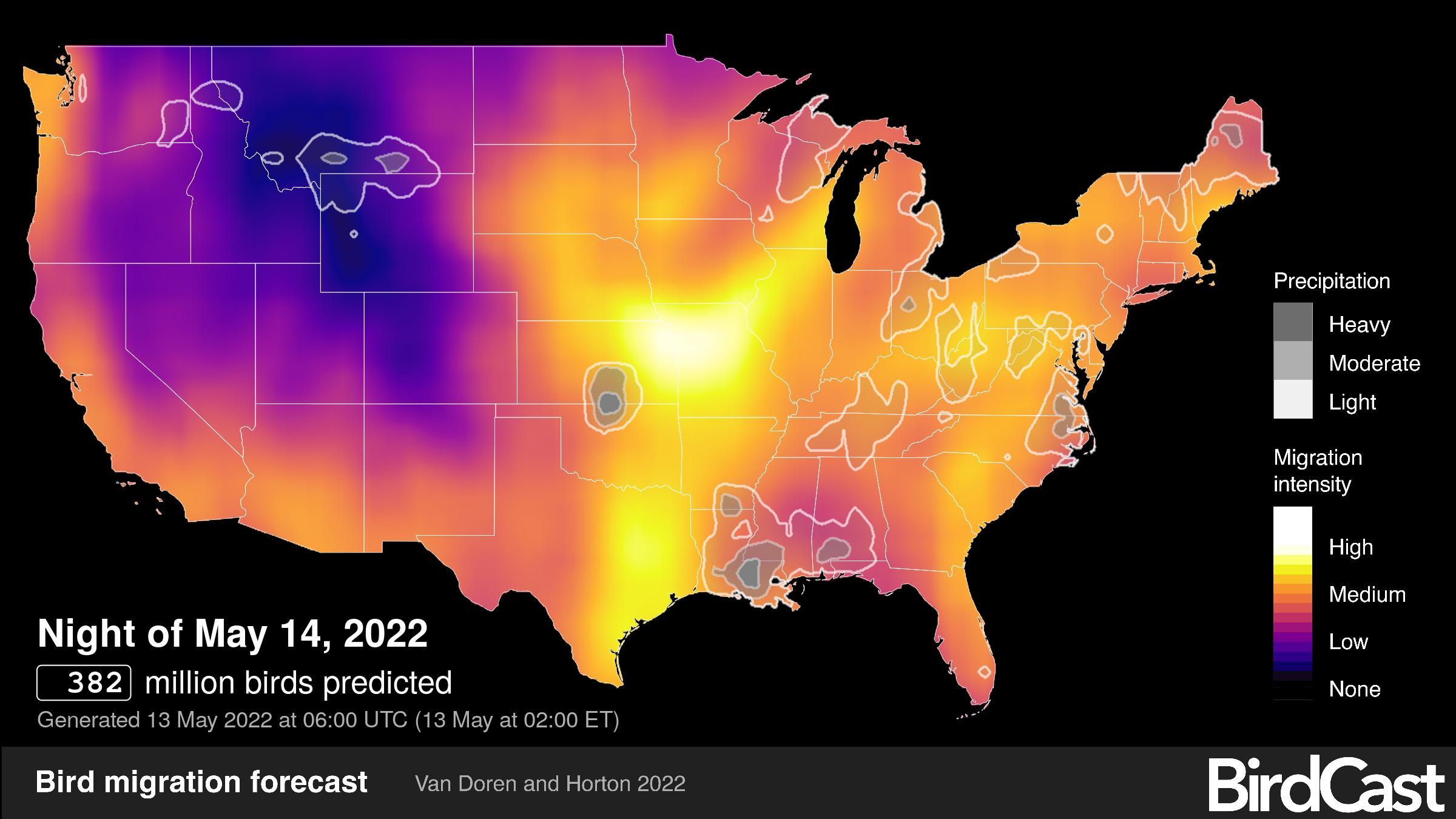 (Van Doren, B. M and Horton, K. G. 2022. BirdCast, migration forecast map; generated 5.13.2022 at 1 a.m. Cornell Lab of Ornithology and Colorado State University. birdcast.info/live-migration-maps. Downloaded 5.13.2022)