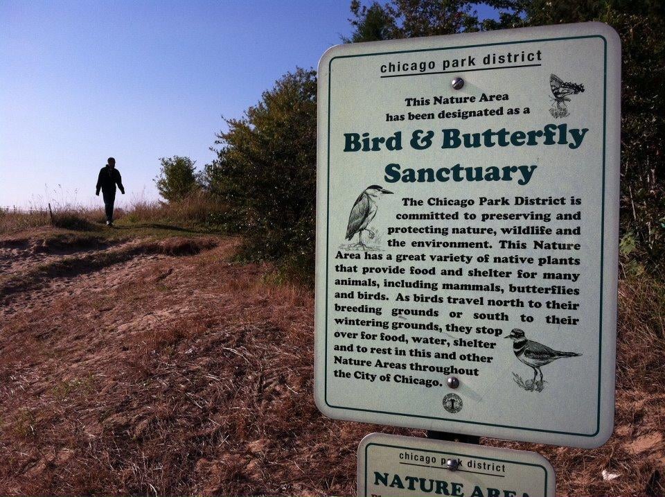 The Bird and Butterfly Sanctuary at Montrose Point. (Louise Clemency / U.S. Fish and Wildlife Service)