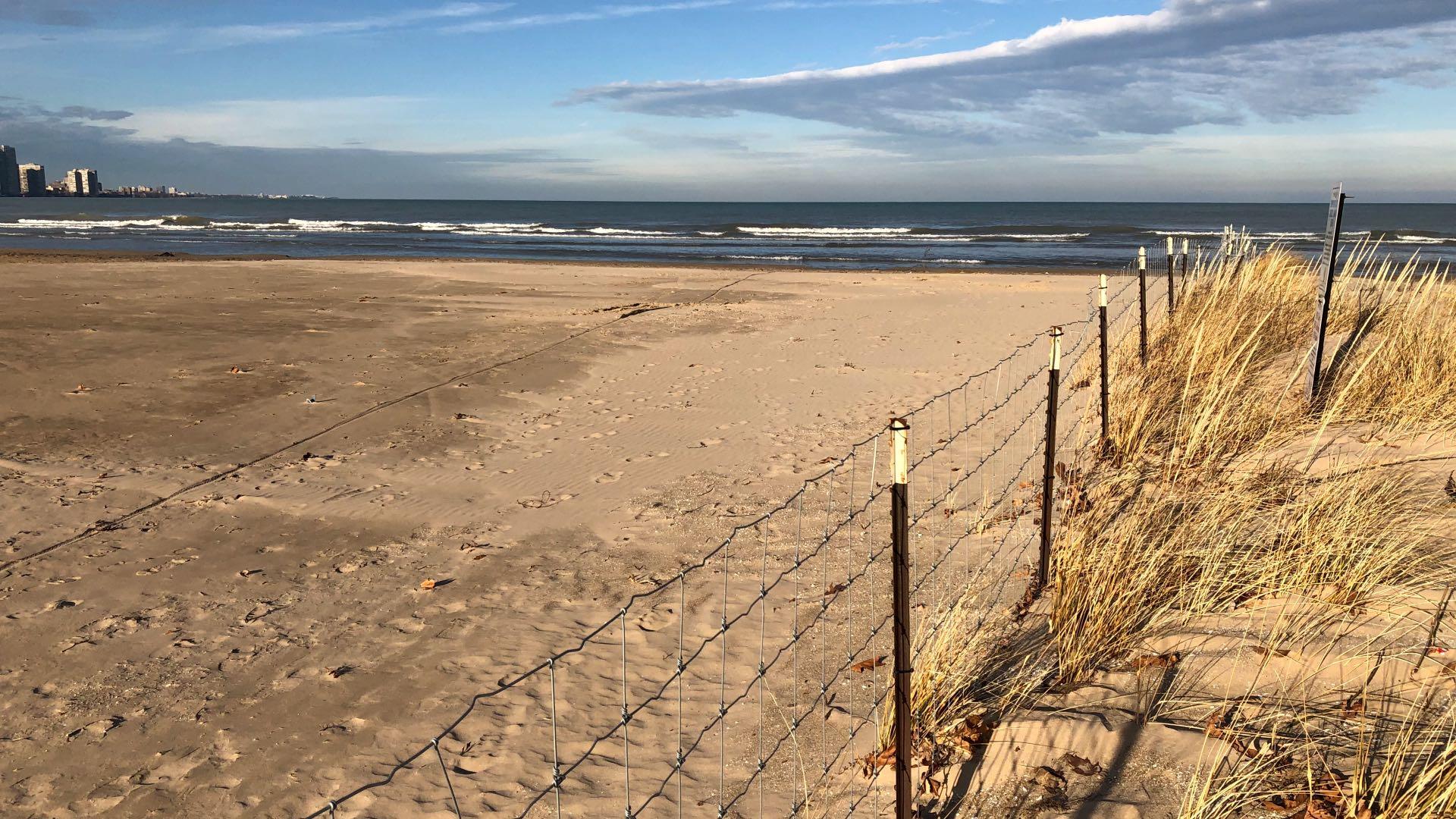 An arbitrary line separates protected habitat from non-protected beach at Montrose. (Patty Wetli / WTTW News)
