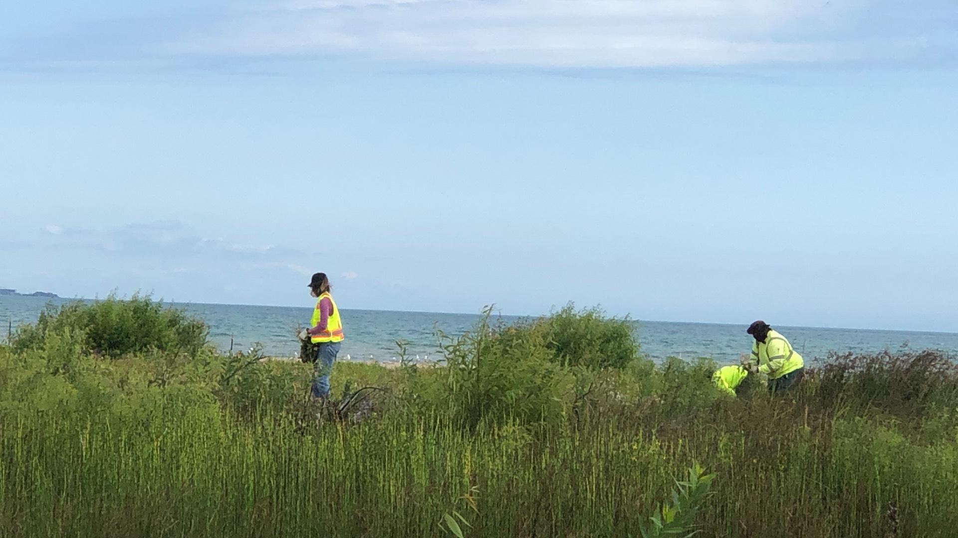 Contractors were on site at the dune in mid-July. (Patty Wetli / WTTW News)