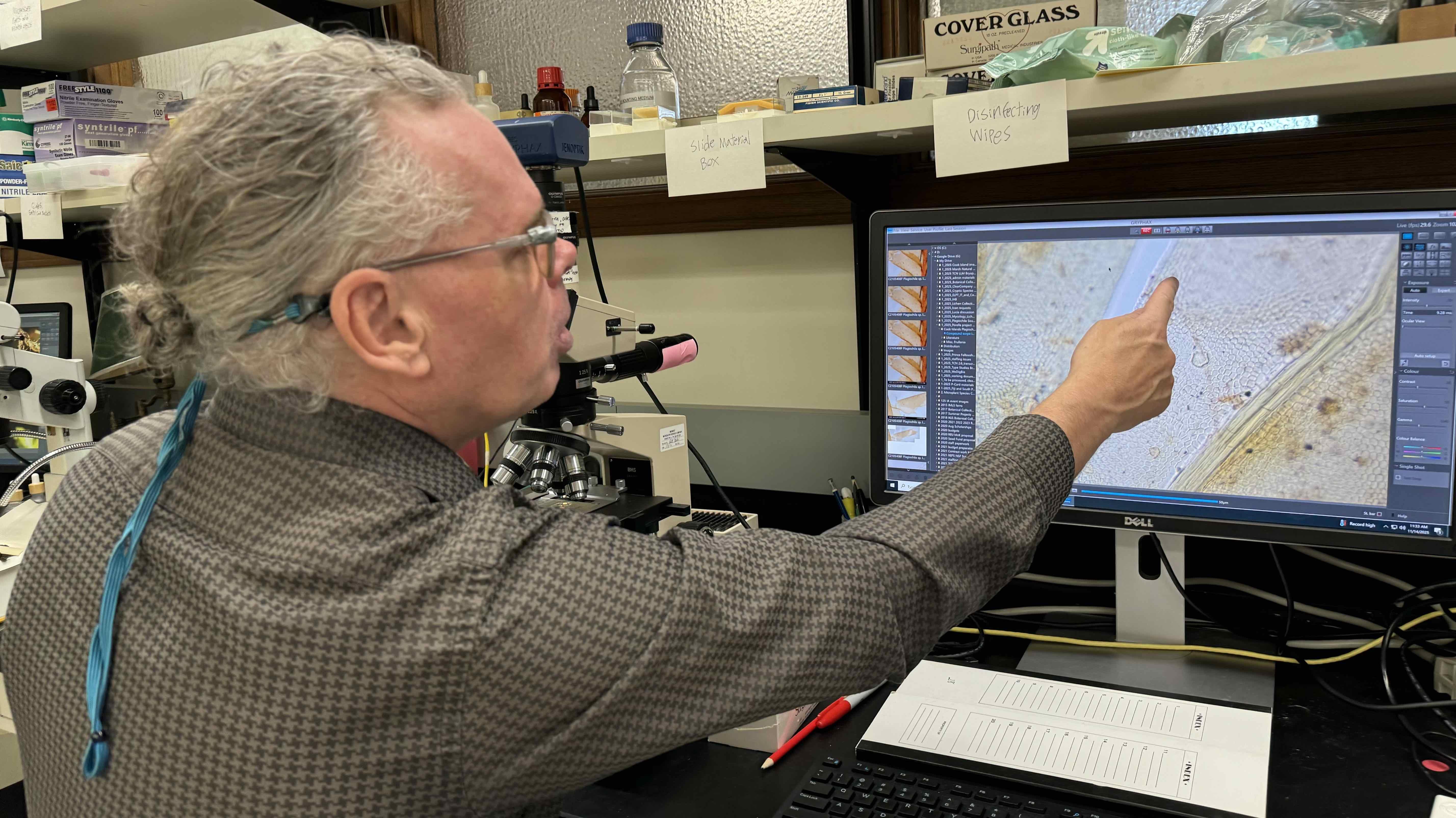 Field Museum research Matt von Konrat reveals the cellular-level detail of moss that can be viewed under magnification. (Patty Wetli / WTTW News)