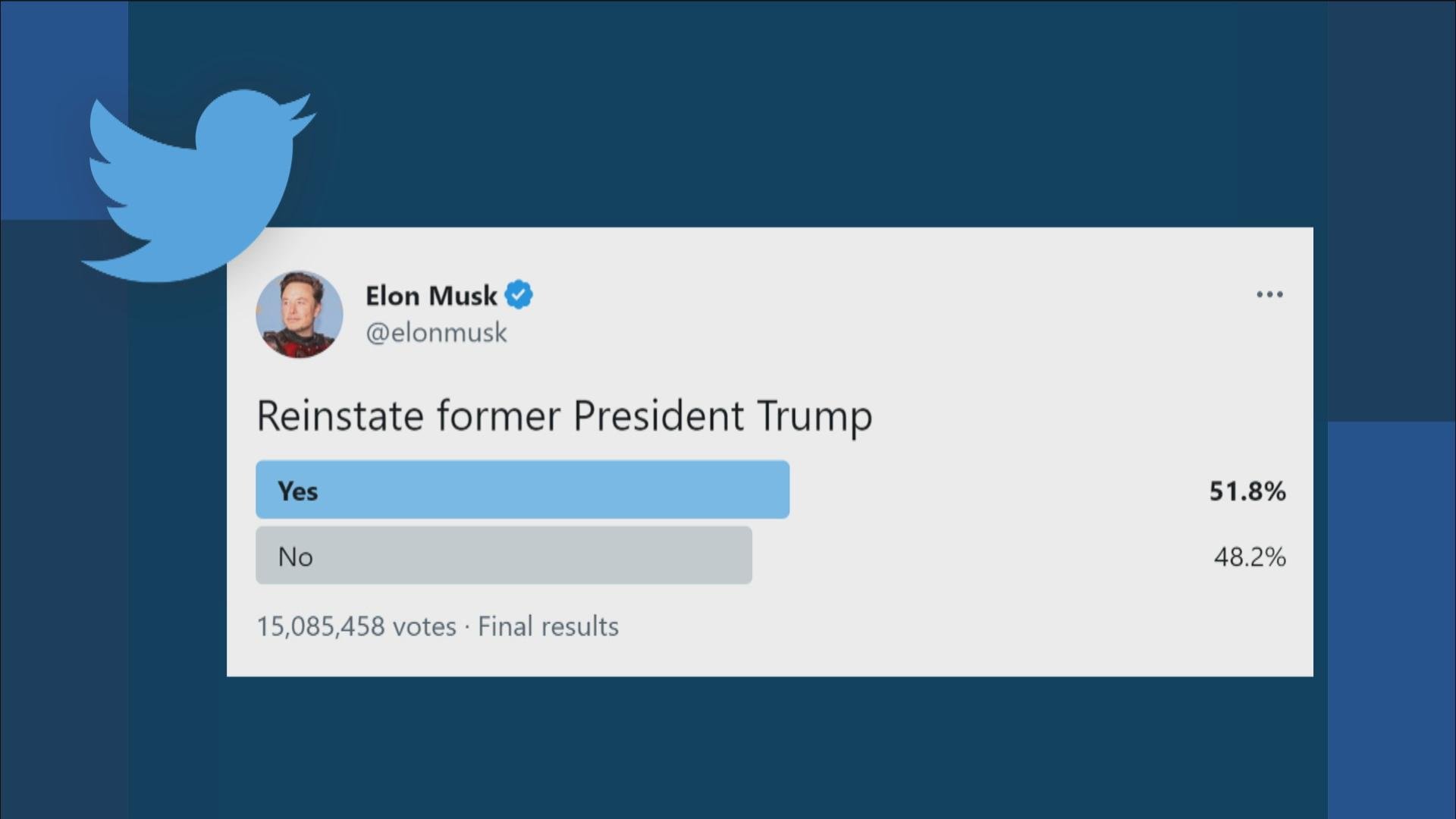 A Twitter poll taken by Elon Musk on whether Donald Trump should be reinstated on the platform. (Twitter)