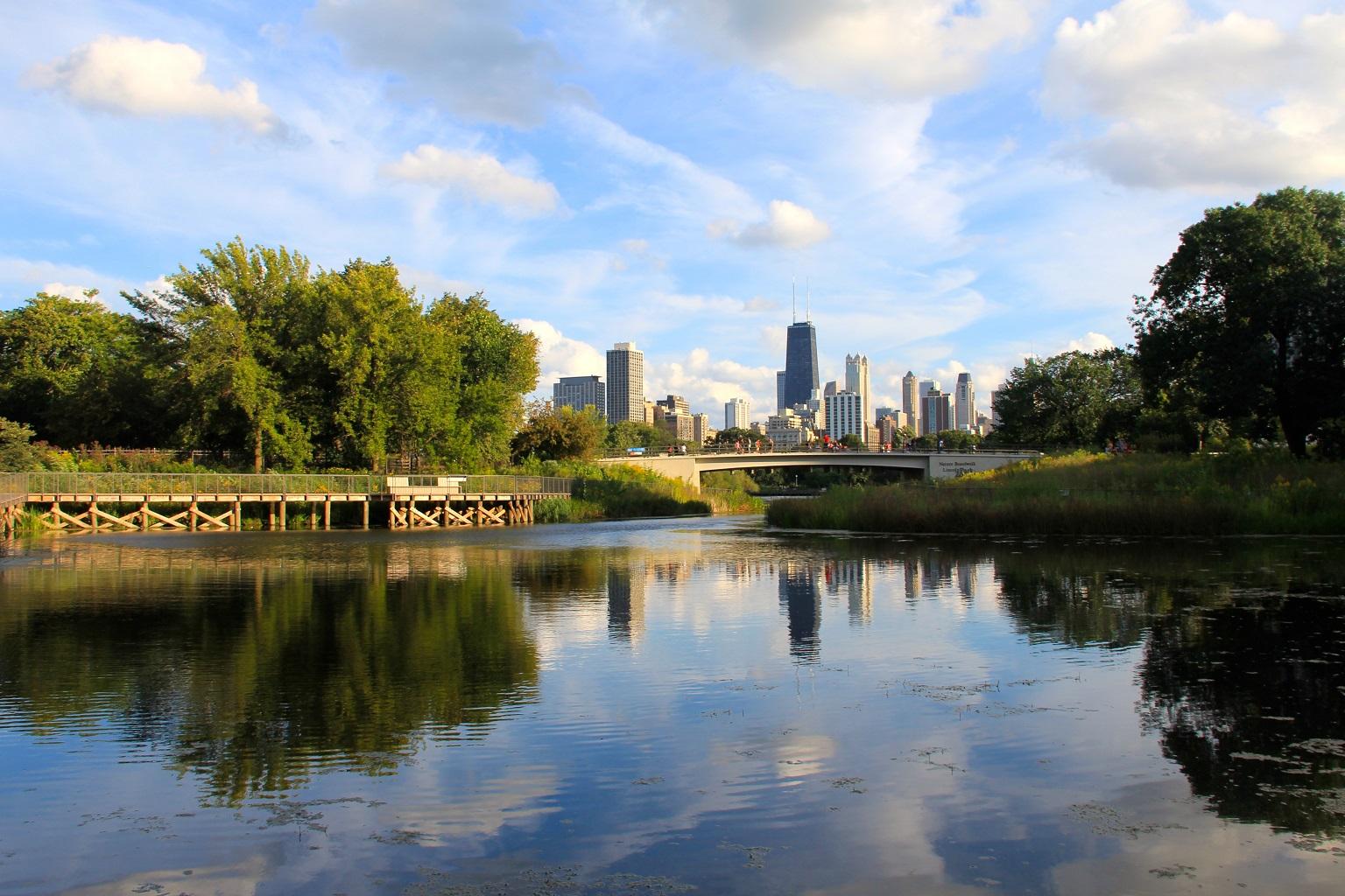 Nature Boardwalk at Lincoln Park Zoo (Daniel X. O'Neil / Wikimedia Commons)