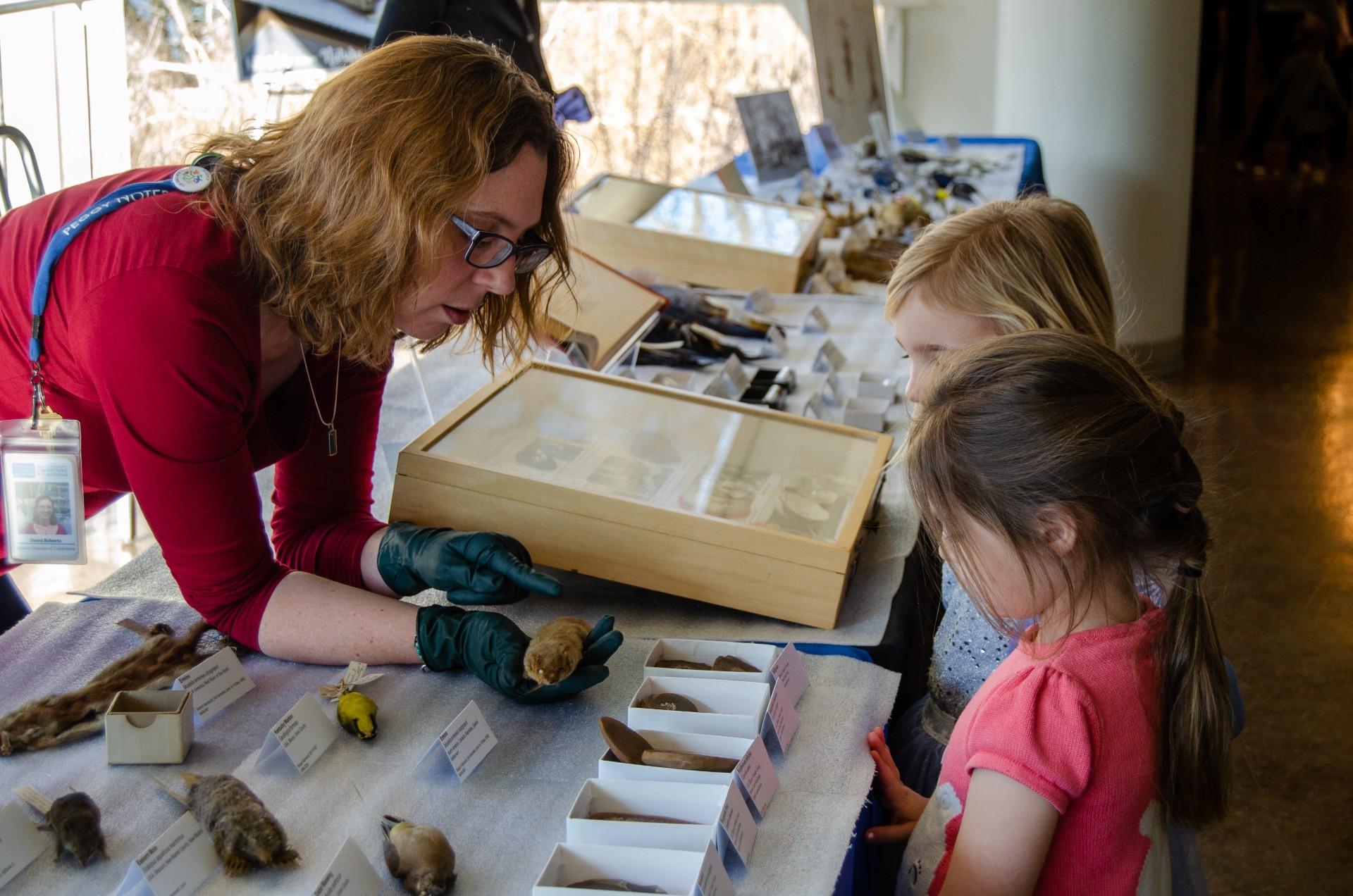 (Chicago Academy of Sciences / Peggy Notebaert Nature Museum)