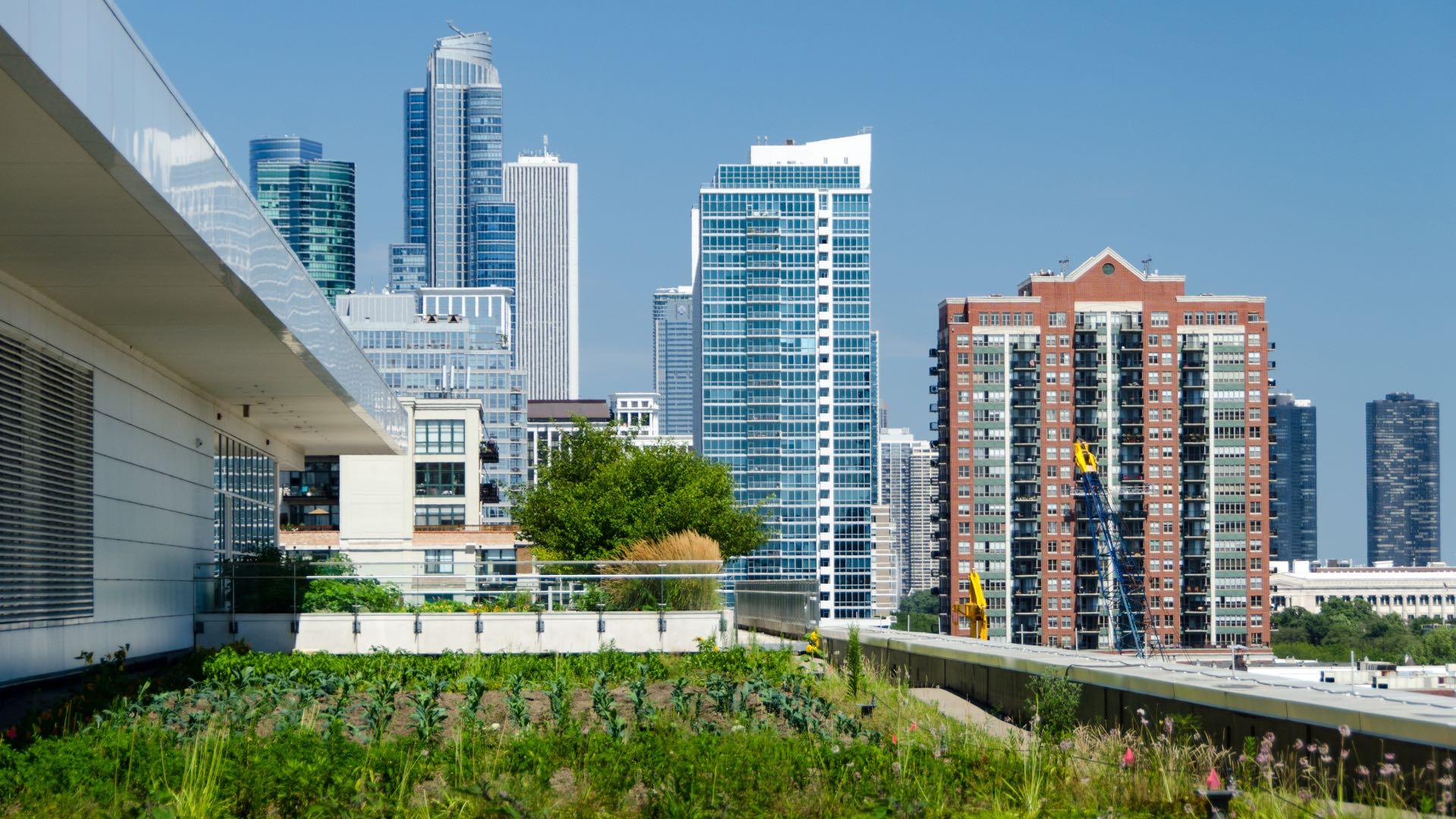 McCormick Place Rooftop Farm is a popular returning Open House site. (Chicago Architecture Foundation / Eric Allix Rogers) 