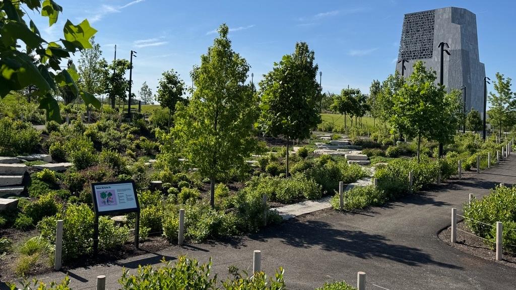 The grounds of the Obama Presidential Center have been landscaped with an emphasis on native plants and trees. (Nicole Cardos / WTTW News)