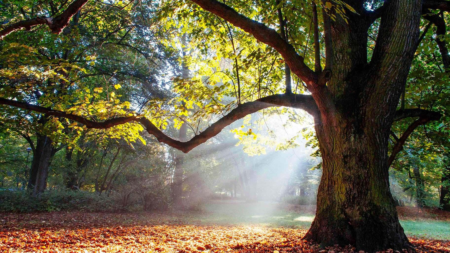 (satori13 / iStock)