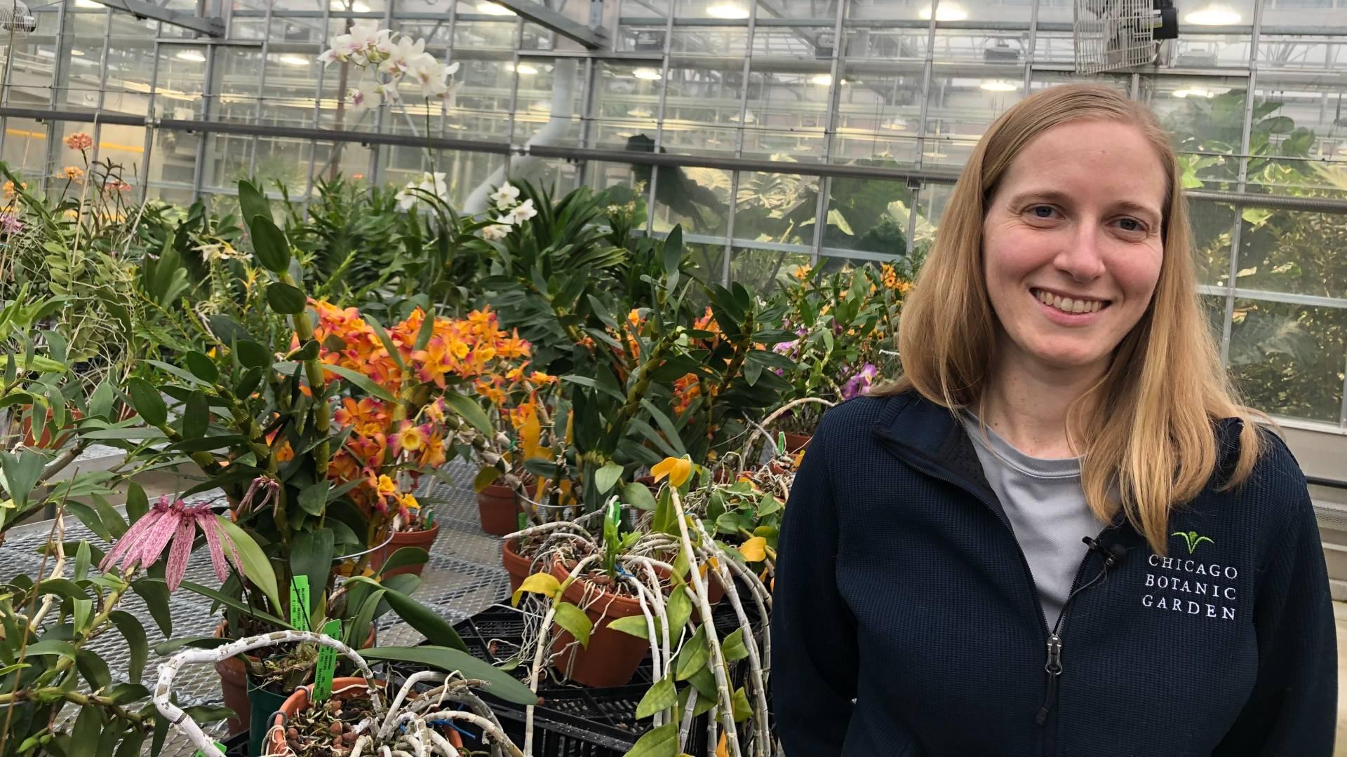 Floriculturist Johanna Hutchins in the Chicago Botanic Garden's Orchidarium. (Patty Wetli / WTTW News)