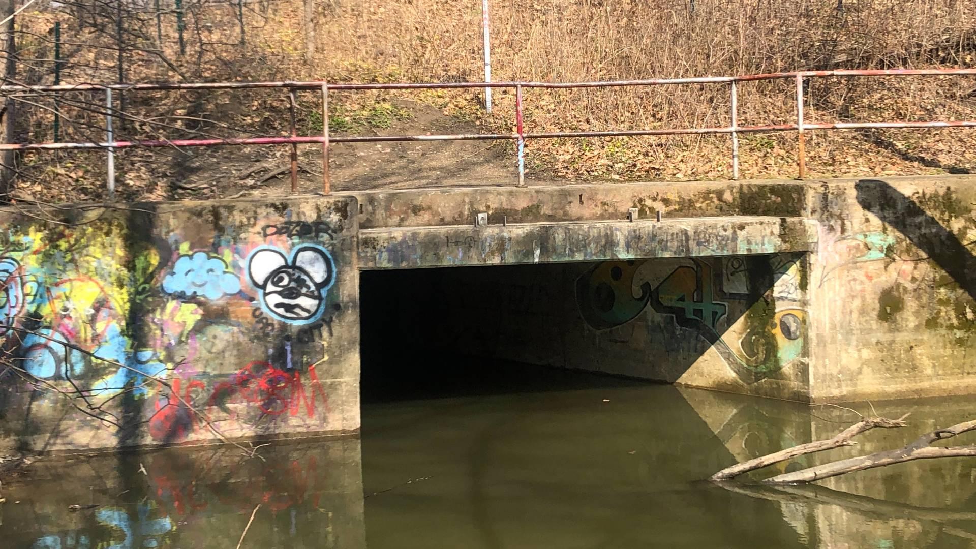 An outfall in LaBagh Woods, a Cook County forest preserve. (Patty Wetli / WTTW News)