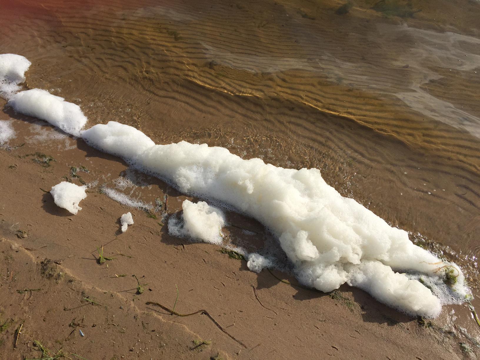 PFAS foam in Van Ettan Lake in northeastern Michigan. (Michigan Department of Environmental Quality / Flickr)