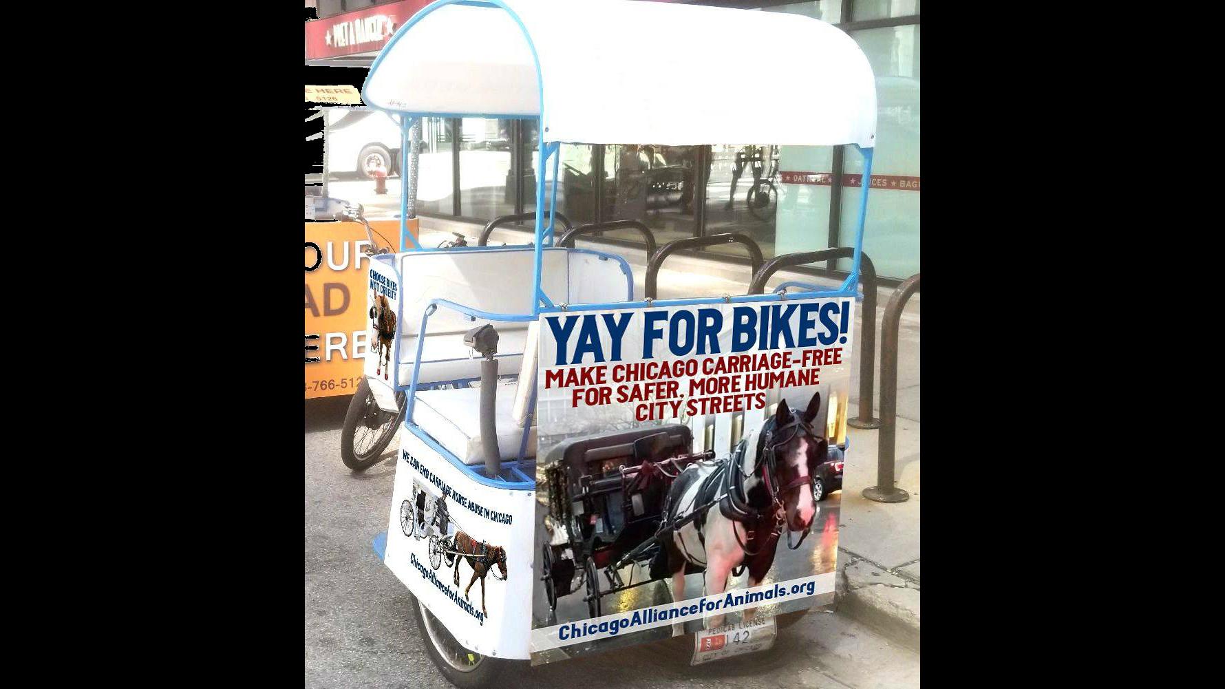 A pedicab operated by Pedicab Ride Guys wrapped with signage from the Chicago Alliance for Animals, which is seeking to ban horse carriages in the city. (Marla Rose / Facebook)