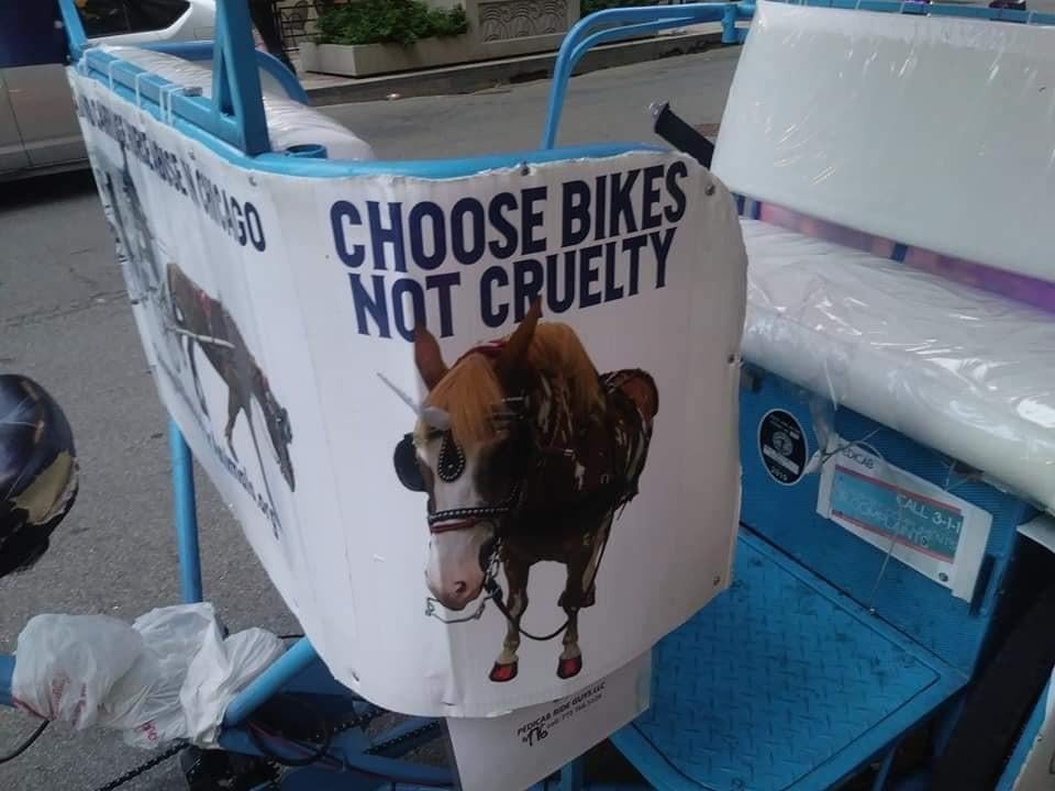Signage protesting Chicago's horse carriages will remain on a pedicab operated by Pedicab Ride Guys through the summer. (Giovanna Gia Maria Mona-Campola / Facebook)