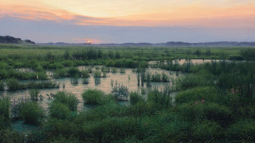 Spring Lake Preserve, Cook County. To help the viewer step into the scene, artist Philip Juras typically incorporates vegetation into a painting's foreground, and then elements gradually grow hazier and more distant. (Credit Philip Juras)