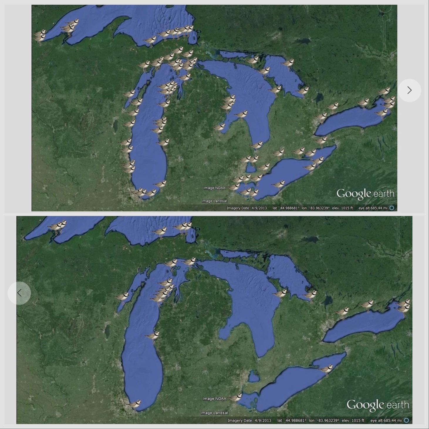 Historic piping plover breeding locations, top; piping plover breeding locations in 2021, bottom. (Courtesy of Great Lakes Piping Plover Recovery Effort)