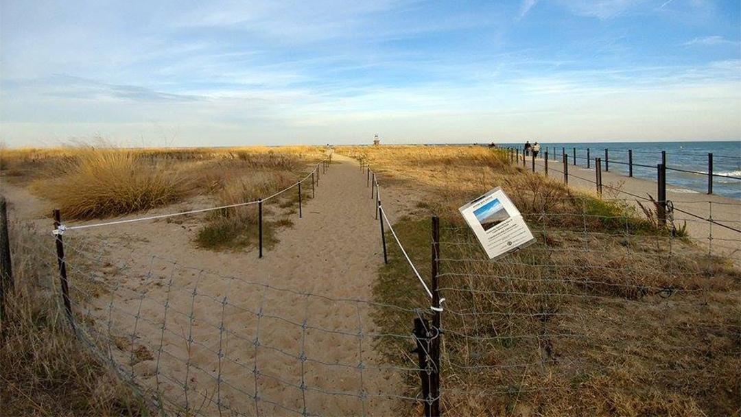 Advocates for the Loyola Dunes Restoration site reported last summer that Pokémon GO players were trampling on wildlife and littering at the lakefront site. (Facebook / Loyola Dunes Restoration) 