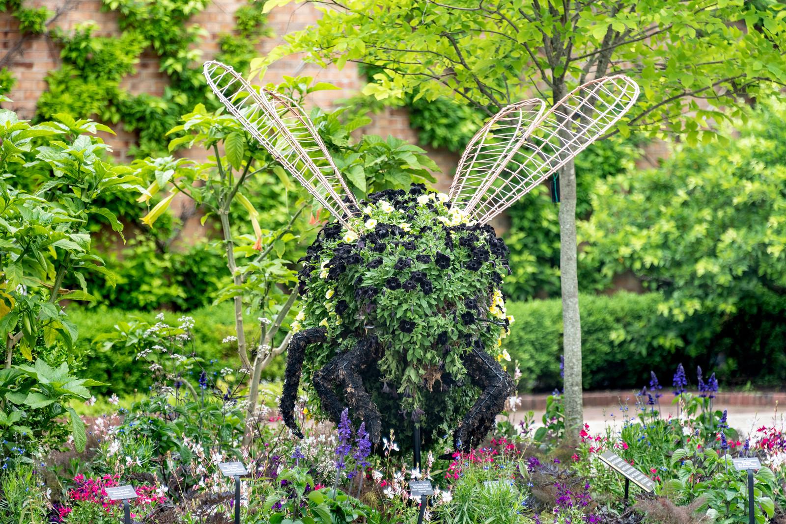 The “Bees & Beyond” exhibit features two rusty-patched bumble topiaries outside the Visitor Center. (Courtesy Chicago Botanic Garden) 