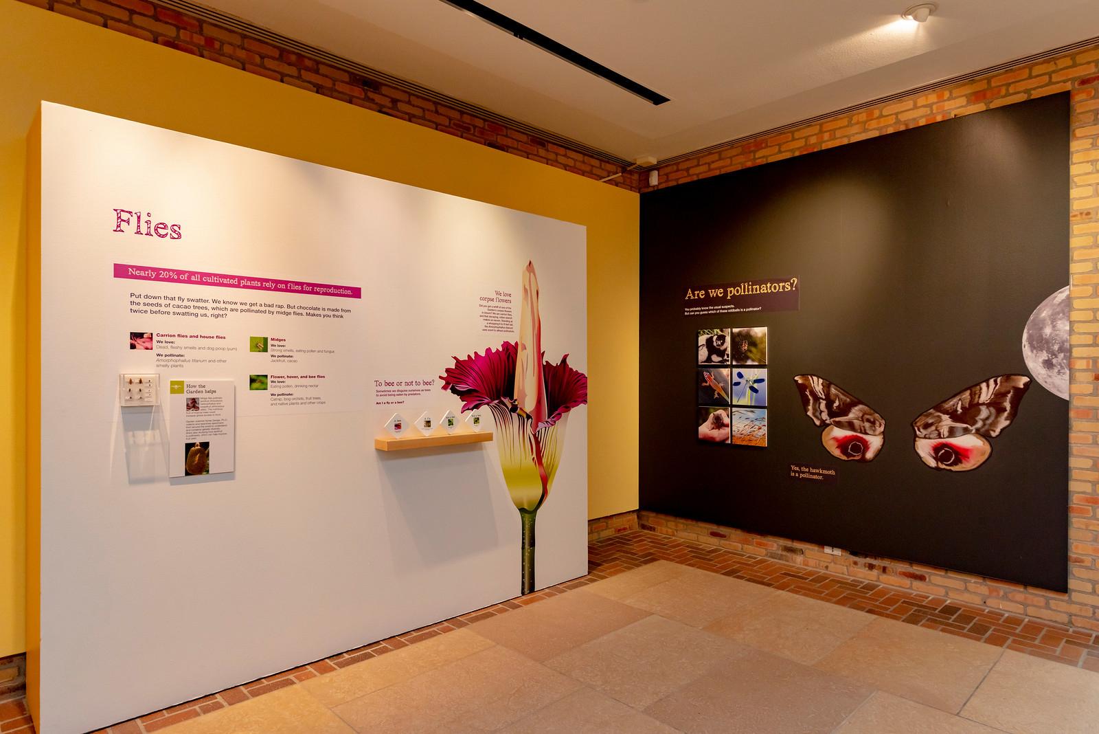 Inside the Chicago Botanic Garden’s new “Bees & Beyond” exhibit (Courtesy Chicago Botanic Garden)