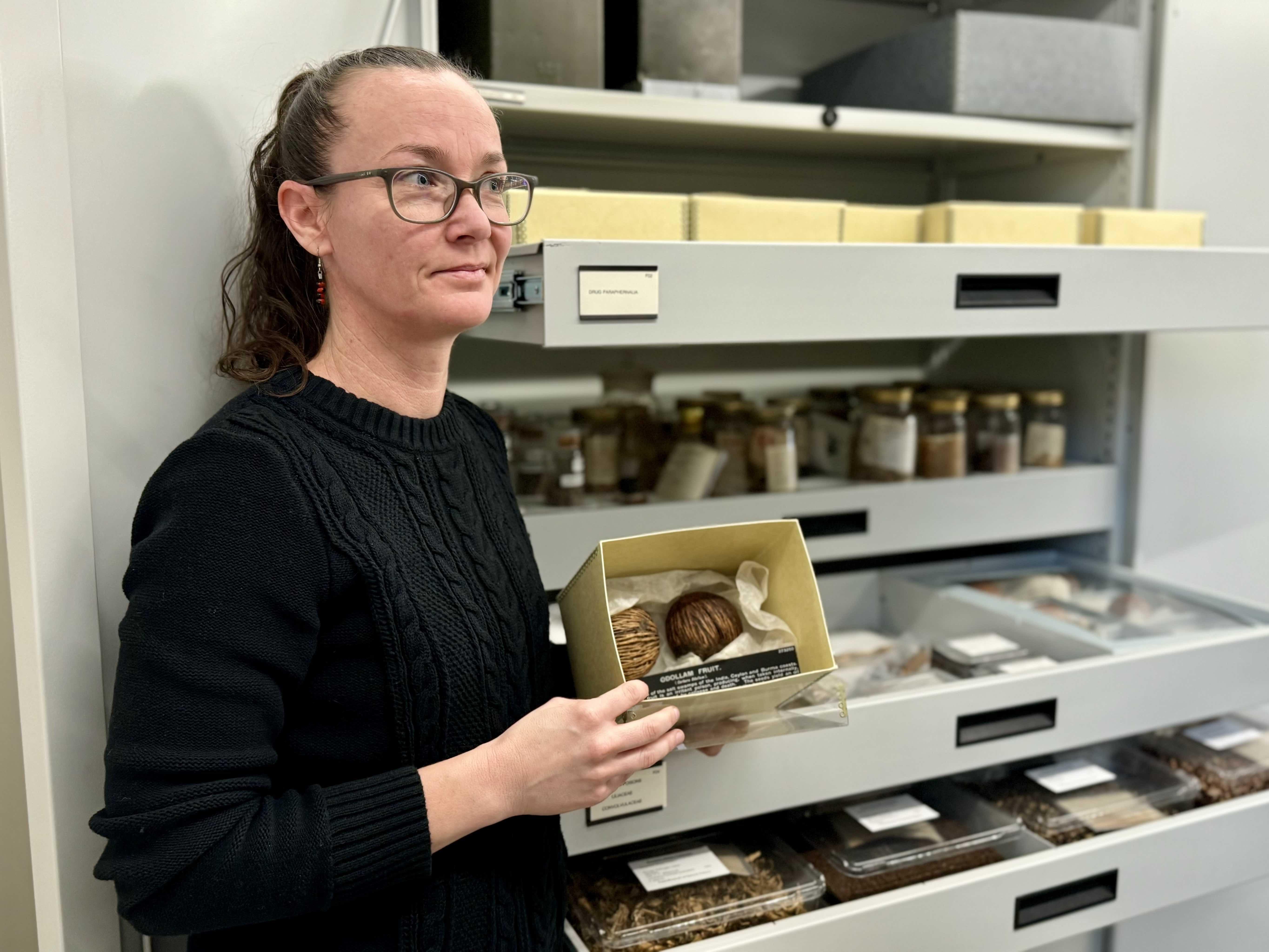 Kimberly Hansen, collections manager of flowering plants at the Field Museum, opened up the cabinet of poisonous plants. (Patty Wetli / WTTW News)