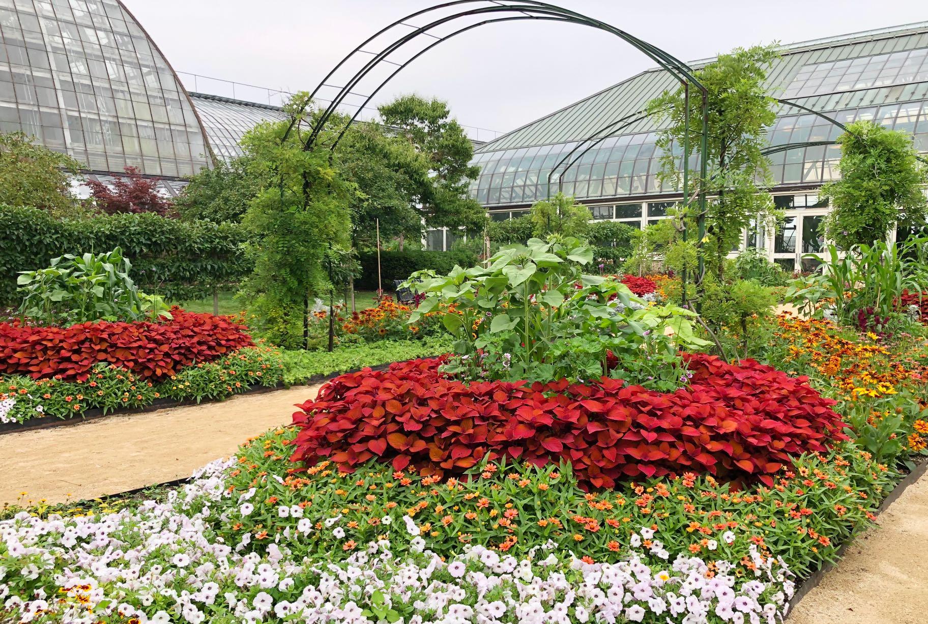 Among the exhibit's focal points are groupings "framed" by circles of red coleus. (Patty Wetli / WTTW News)