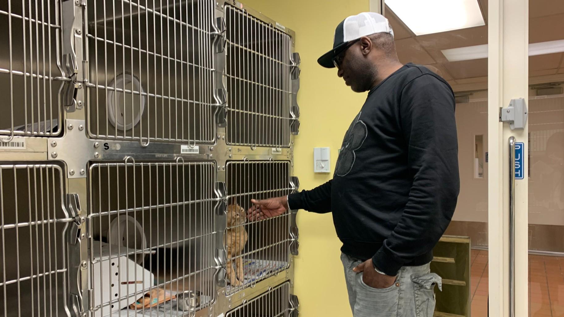 Potential adopter Earl Muhammad from Woodlawn plays with Pickles the cat at Chicago Animal Care and Control on the Lower West Side on May 20, 2024. (Eunice Alpasan / WTTW News)