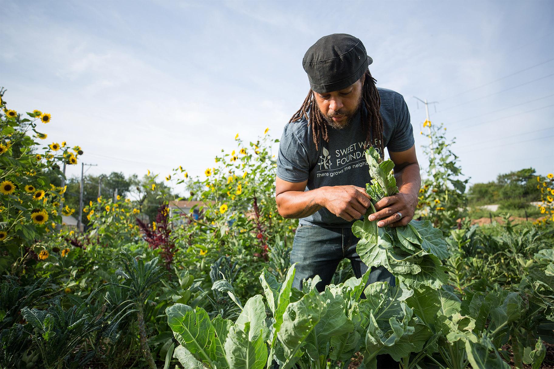 Pratt’s approach to redeveloping neighborhoods combines urban gardening, carpentry and other nontraditional techniques. (Courtesy MacArthur Foundation)