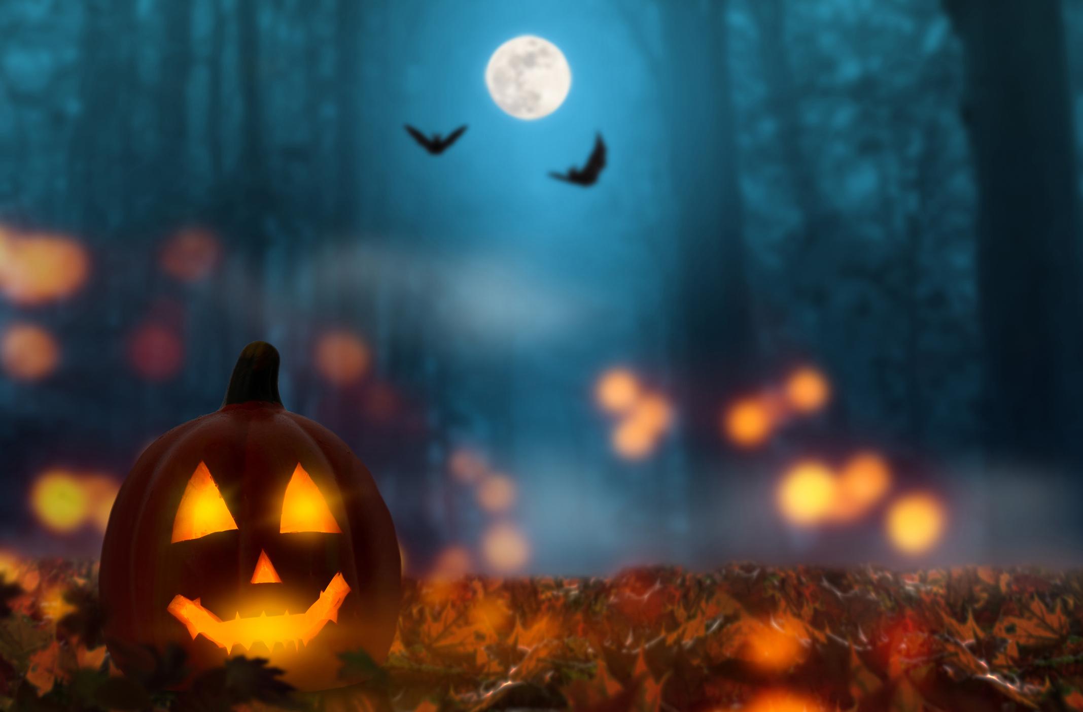 (winyuu / iStock)