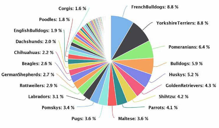 Graphic: Types of animals most frequently sold on fraudulent websites. (Petscams.com / Better Business Bureau)