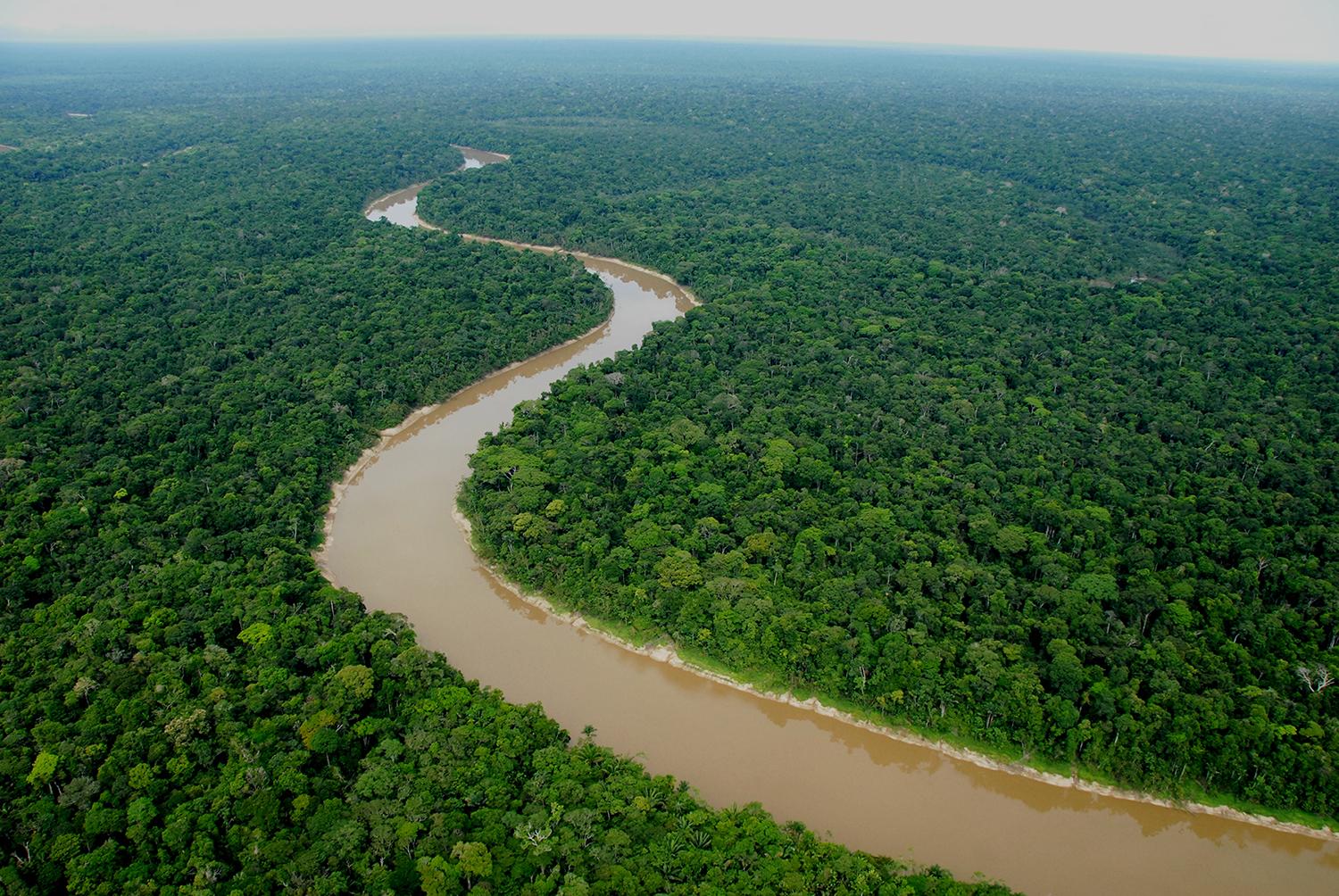 The rainforest in Yaguas, Peru (Alvaro del Campo / The Field Museum)