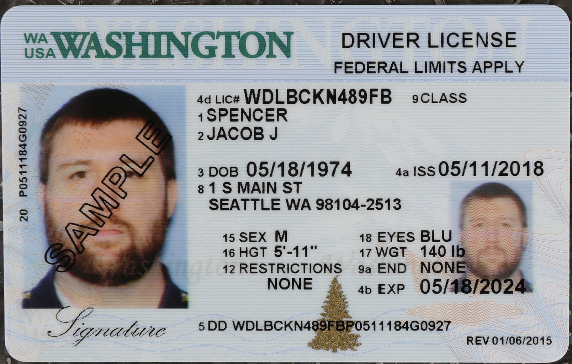 In this June 22, 2018, file photo, a sample copy of a Washington driver’s license is shown at the Washington state Department of Licensing office in Lacey, Wash. (AP Photo / Ted S. Warren, File)
