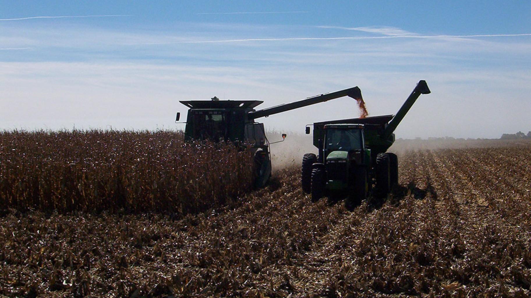 Ron Bork grows corn and soybeans on his family farm, shown above, in Piper City. (Courtesy of Ron Bork)